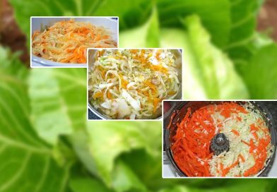 Bajan Steam Cabbage & Carrot