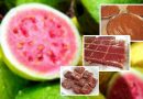 Guava Cheese