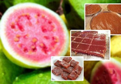 Guava Cheese