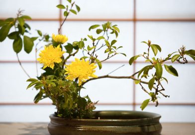 Ikebana: Floral Arrangement Reloaded