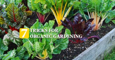 Organic Gardening