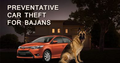 Preventative Car Theft For Bajans