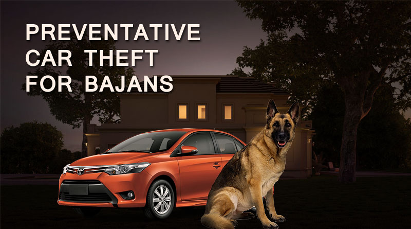 Preventative Car Theft For Bajans