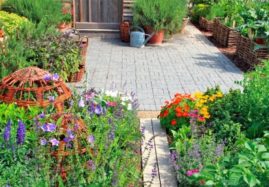 Herb And Vegetable Gardens Are Landscapes Too!