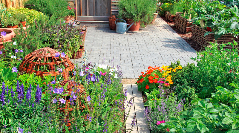 Herb And Vegetable Gardens Are Lanscapes Too!