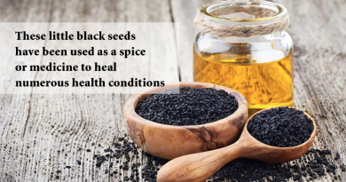 Black Seed Oil