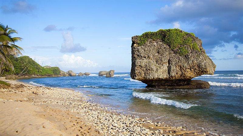 Barbados East Coast